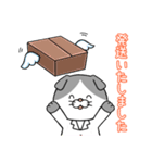 薬局による薬局のためのLINEスタンプ（個別スタンプ：13）