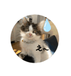 ハッチの日常スタンプ（個別スタンプ：23）