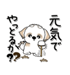 シーズー犬 134『じぃじとばぁば』修正版（個別スタンプ：2）