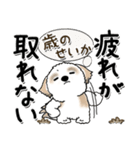 シーズー犬 134『じぃじとばぁば』修正版（個別スタンプ：19）