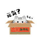 日常使い♪和風ねこスタンプ（個別スタンプ：6）