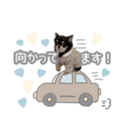 我が家のまろ4（個別スタンプ：14）