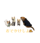 3チーナッキー（個別スタンプ：7）