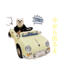 3チーナッキー（個別スタンプ：9）