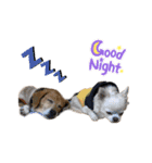 3チーナッキー（個別スタンプ：11）