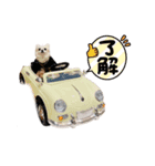 3チーナッキー（個別スタンプ：15）