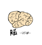 脳-brain-(大脳皮質)（個別スタンプ：1）
