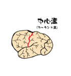 脳-brain-(大脳皮質)（個別スタンプ：2）