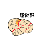 脳-brain-(大脳皮質)（個別スタンプ：8）