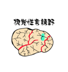 脳-brain-(大脳皮質)（個別スタンプ：12）