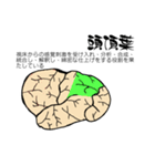 脳-brain-(大脳皮質)（個別スタンプ：18）