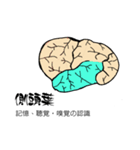 脳-brain-(大脳皮質)（個別スタンプ：19）