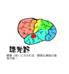 脳-brain-(大脳皮質)（個別スタンプ：22）