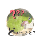 マメルリハ達2（個別スタンプ：3）