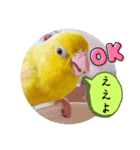 マメルリハ達2（個別スタンプ：6）