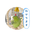 マメルリハ達2（個別スタンプ：7）