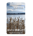 おはよう日本1（個別スタンプ：33）