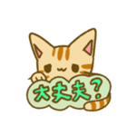 吹き出しとねこちゃん（個別スタンプ：11）