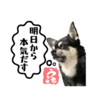 うるるスタンプ④-2（個別スタンプ：2）