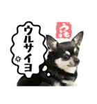 うるるスタンプ④-2（個別スタンプ：3）