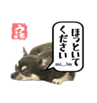 うるるスタンプ④-2（個別スタンプ：6）