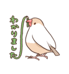 社会人のためのふくふく文鳥（個別スタンプ：8）