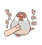 社会人のためのふくふく文鳥（個別スタンプ：19）