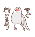 社会人のためのふくふく文鳥（個別スタンプ：25）