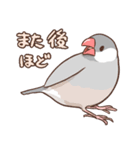 社会人のためのふくふく文鳥（個別スタンプ：27）