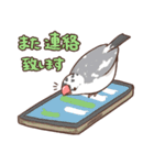 社会人のためのふくふく文鳥（個別スタンプ：28）