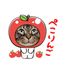 ステッチ君1（個別スタンプ：4）