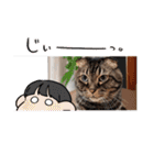 ステッチ君1（個別スタンプ：5）