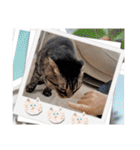 ステッチ君1（個別スタンプ：38）