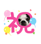 あぃーんのアンちゃん（個別スタンプ：1）