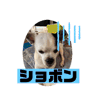 あぃーんのアンちゃん（個別スタンプ：4）