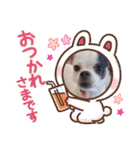 あぃーんのアンちゃん（個別スタンプ：5）