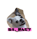 あぃーんのアンちゃん（個別スタンプ：6）