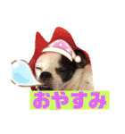 あぃーんのアンちゃん（個別スタンプ：7）