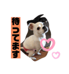 あぃーんのアンちゃん（個別スタンプ：8）