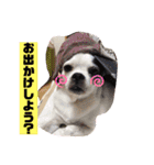 あぃーんのアンちゃん（個別スタンプ：9）