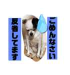 あぃーんのアンちゃん（個別スタンプ：10）