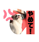あぃーんのアンちゃん（個別スタンプ：12）