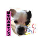 あぃーんのアンちゃん（個別スタンプ：14）