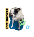 あぃーんのアンちゃん（個別スタンプ：15）