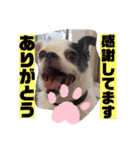 あぃーんのアンちゃん（個別スタンプ：16）