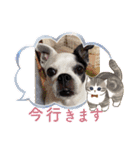 あぃーんのアンちゃん（個別スタンプ：17）