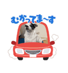 あぃーんのアンちゃん（個別スタンプ：18）