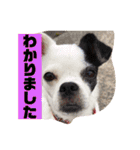 あぃーんのアンちゃん（個別スタンプ：21）
