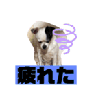 あぃーんのアンちゃん（個別スタンプ：25）