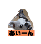 あぃーんのアンちゃん（個別スタンプ：26）